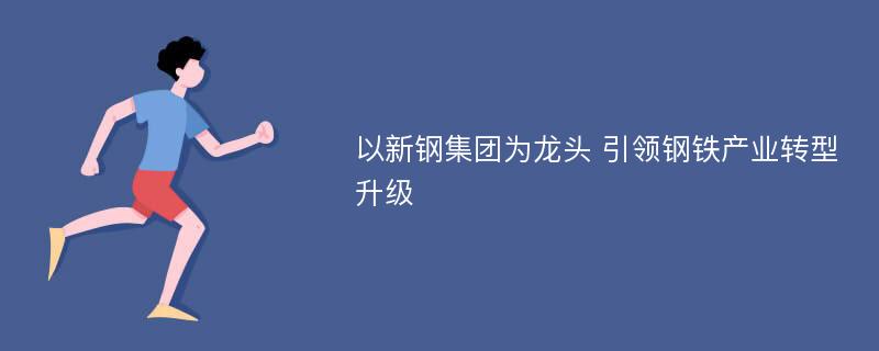 以新钢集团为龙头 引领钢铁产业转型升级