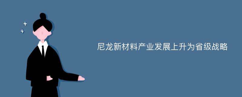 尼龙新材料产业发展上升为省级战略