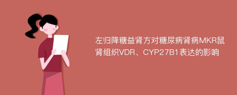 左归降糖益肾方对糖尿病肾病MKR鼠肾组织VDR、CYP27B1表达的影响