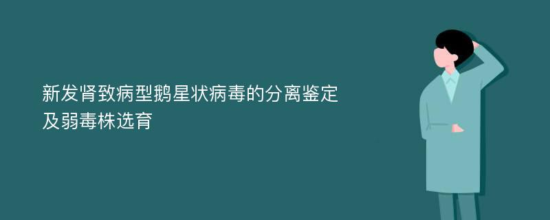 新发肾致病型鹅星状病毒的分离鉴定及弱毒株选育