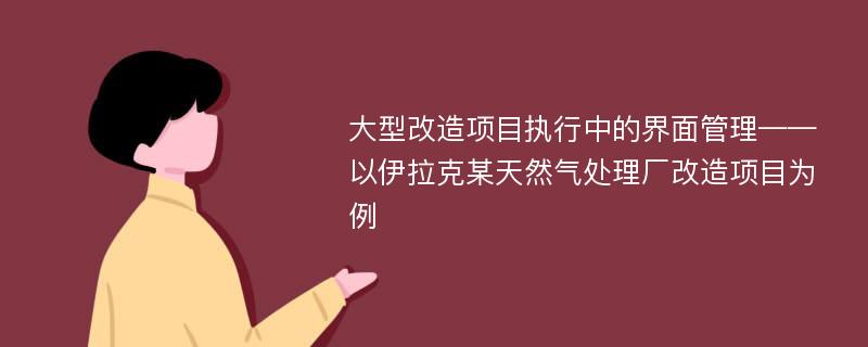 大型改造项目执行中的界面管理——以伊拉克某天然气处理厂改造项目为例