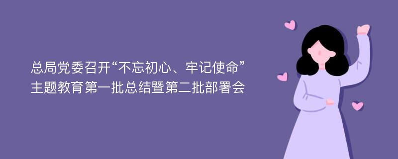 总局党委召开“不忘初心、牢记使命”主题教育第一批总结暨第二批部署会