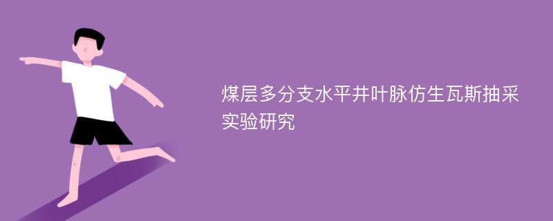 煤层多分支水平井叶脉仿生瓦斯抽采实验研究