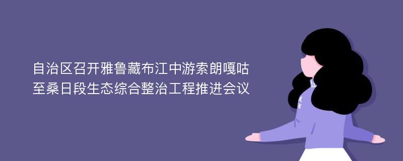 自治区召开雅鲁藏布江中游索朗嘎咕至桑日段生态综合整治工程推进会议