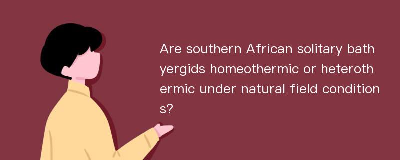 Are southern African solitary bathyergids homeothermic or heterothermic under natural field conditions?