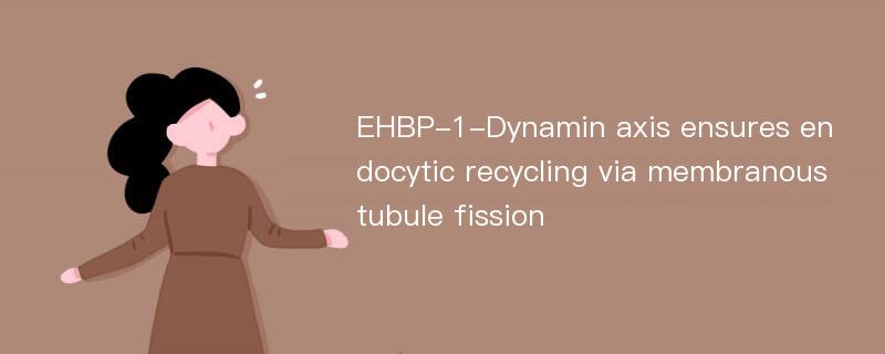 EHBP-1-Dynamin axis ensures endocytic recycling via membranous tubule fission