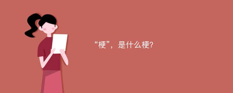 “梗”，是什么梗？