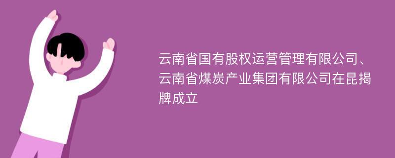 云南省国有股权运营管理有限公司、云南省煤炭产业集团有限公司在昆揭牌成立