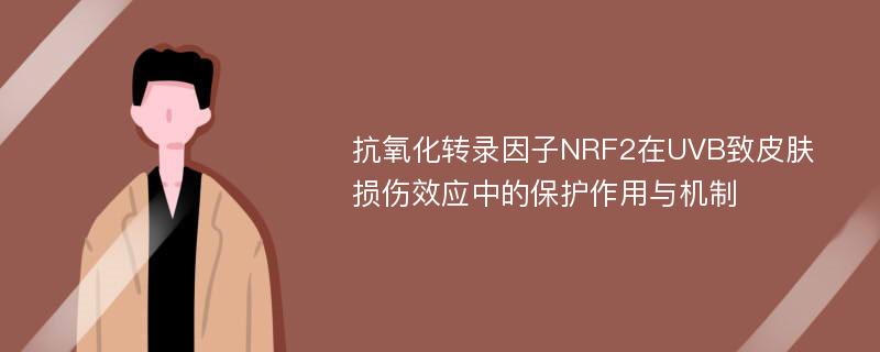 抗氧化转录因子NRF2在UVB致皮肤损伤效应中的保护作用与机制