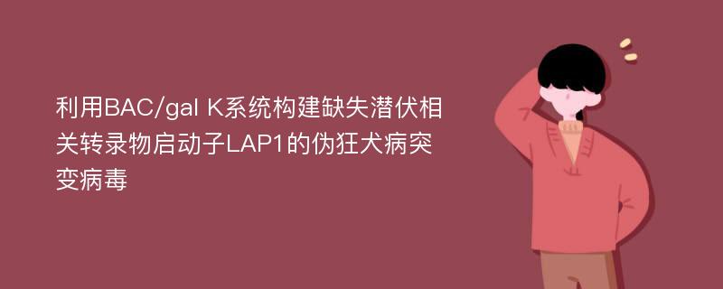 利用BAC/gal K系统构建缺失潜伏相关转录物启动子LAP1的伪狂犬病突变病毒