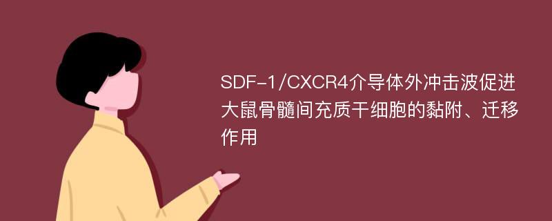 SDF-1/CXCR4介导体外冲击波促进大鼠骨髓间充质干细胞的黏附、迁移作用