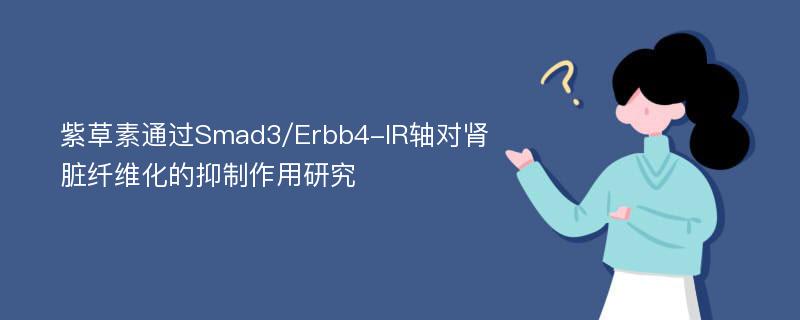 紫草素通过Smad3/Erbb4-IR轴对肾脏纤维化的抑制作用研究