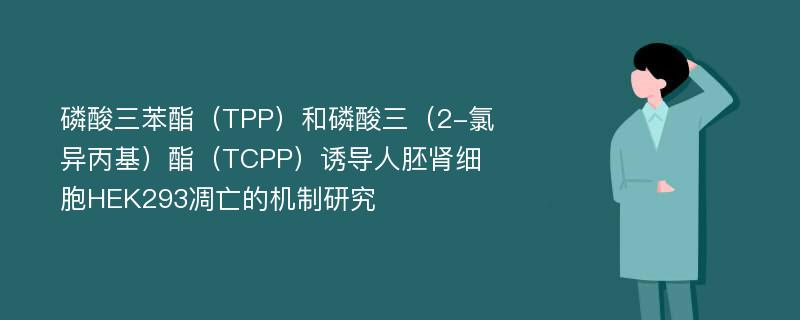 磷酸三苯酯（TPP）和磷酸三（2-氯异丙基）酯（TCPP）诱导人胚肾细胞HEK293凋亡的机制研究