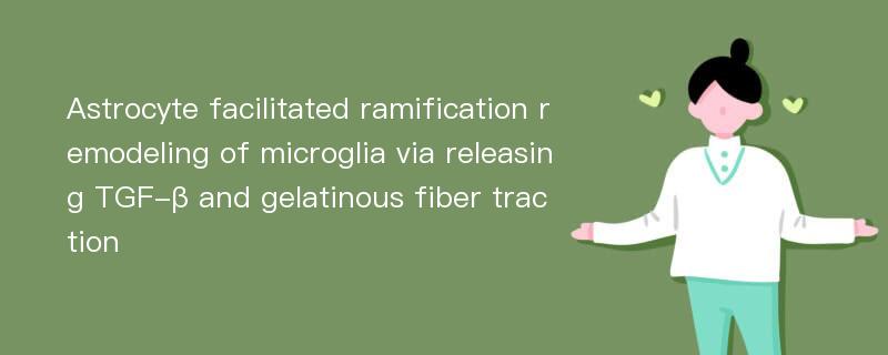 Astrocyte facilitated ramification remodeling of microglia via releasing TGF-β and gelatinous fiber traction