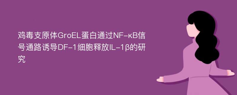 鸡毒支原体GroEL蛋白通过NF-κB信号通路诱导DF-1细胞释放IL-1β的研究