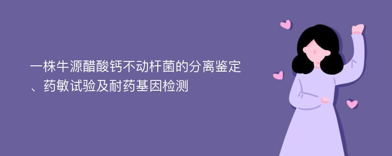 一株牛源醋酸钙不动杆菌的分离鉴定、药敏试验及耐药基因检测