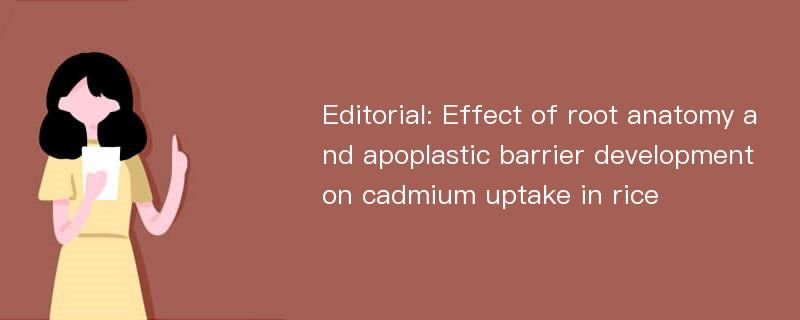 Editorial: Effect of root anatomy and apoplastic barrier development on cadmium uptake in rice