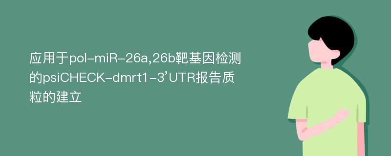 应用于pol-miR-26a,26b靶基因检测的psiCHECK-dmrt1-3’UTR报告质粒的建立