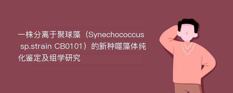 一株分离于聚球藻（Synechococcus sp.strain CB0101）的新种噬藻体纯化鉴定及组学研究