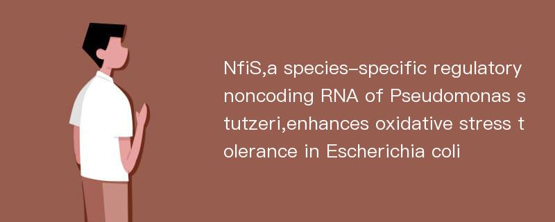 NfiS,a species-specific regulatory noncoding RNA of Pseudomonas stutzeri,enhances oxidative stress tolerance in Escherichia coli