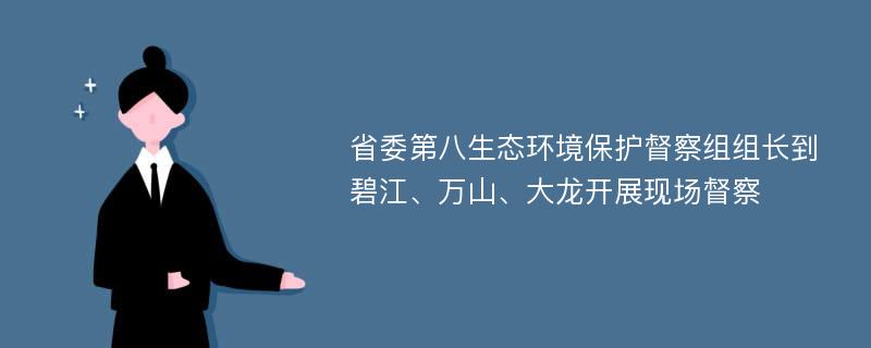 省委第八生态环境保护督察组组长到碧江、万山、大龙开展现场督察