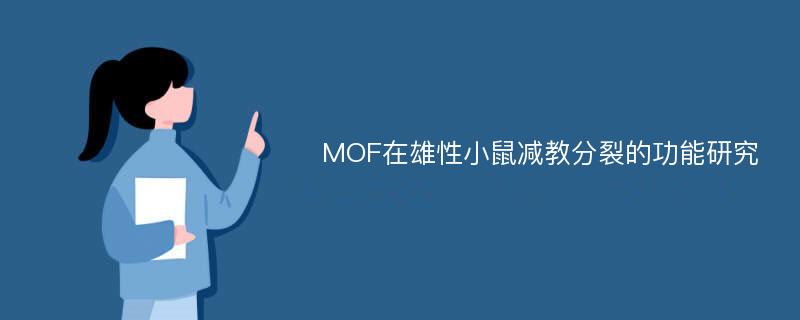 MOF在雄性小鼠减教分裂的功能研究