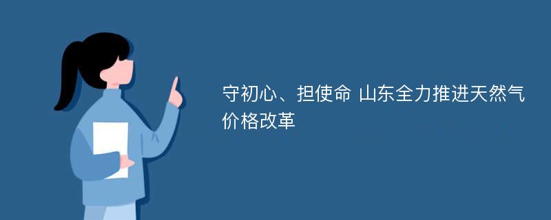 守初心、担使命 山东全力推进天然气价格改革