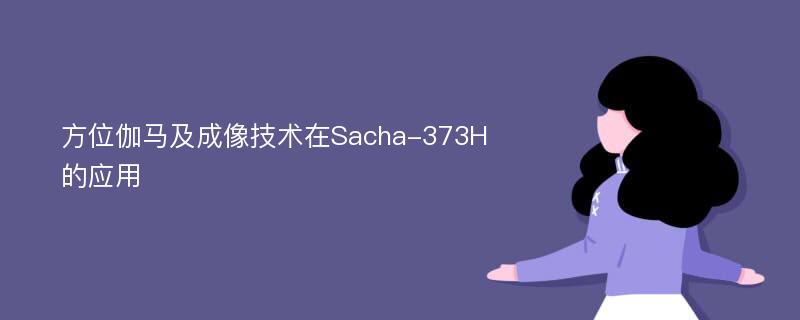 方位伽马及成像技术在Sacha-373H的应用