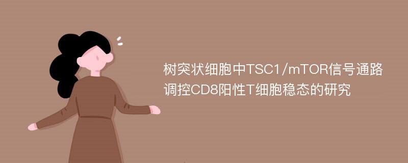 树突状细胞中TSC1/mTOR信号通路调控CD8阳性T细胞稳态的研究