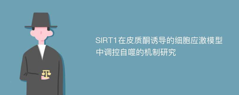 SIRT1在皮质酮诱导的细胞应激模型中调控自噬的机制研究