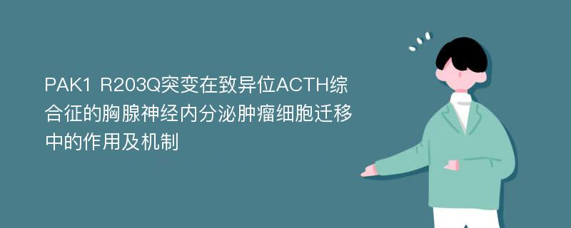 PAK1 R203Q突变在致异位ACTH综合征的胸腺神经内分泌肿瘤细胞迁移中的作用及机制