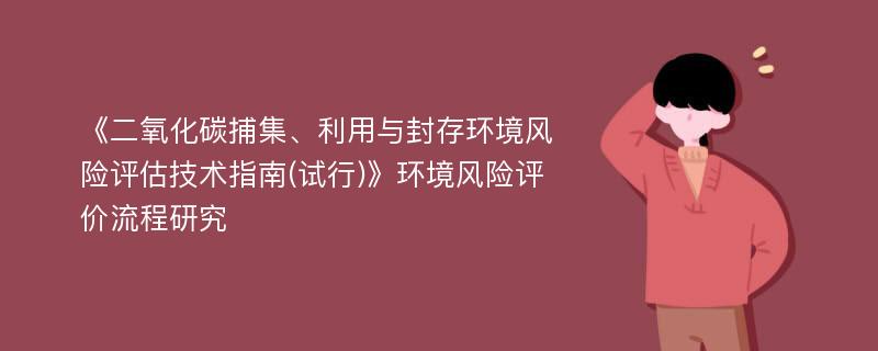 《二氧化碳捕集、利用与封存环境风险评估技术指南(试行)》环境风险评价流程研究