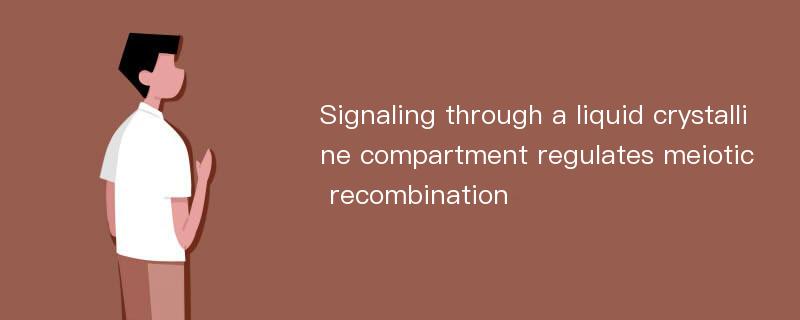 Signaling through a liquid crystalline compartment regulates meiotic recombination