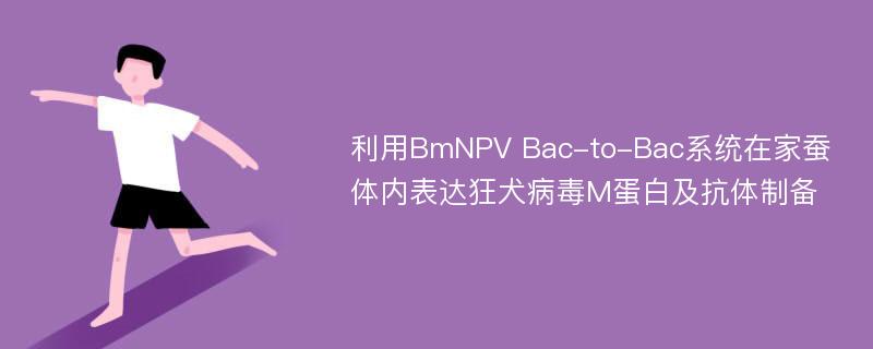 利用BmNPV Bac-to-Bac系统在家蚕体内表达狂犬病毒M蛋白及抗体制备