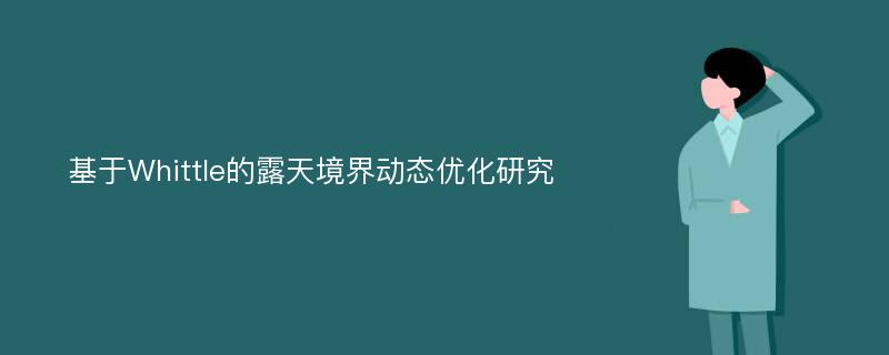 基于Whittle的露天境界动态优化研究