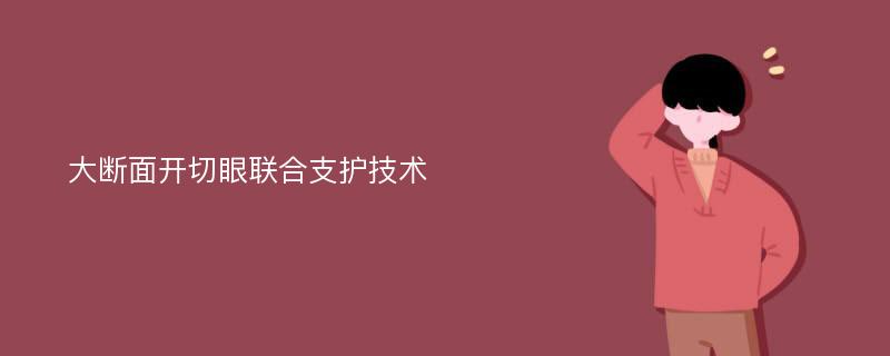 大断面开切眼联合支护技术