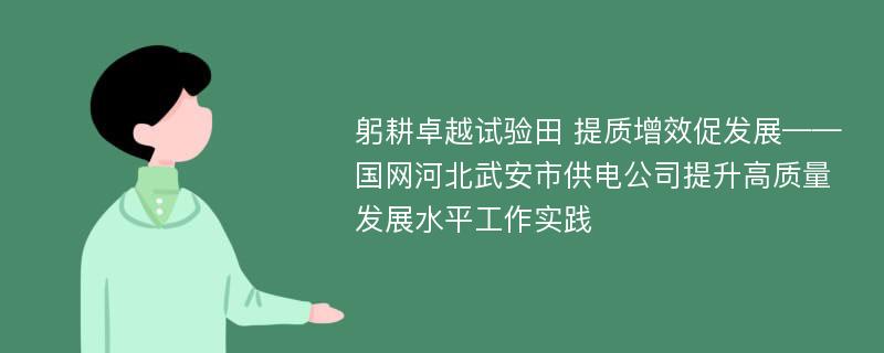 躬耕卓越试验田 提质增效促发展——国网河北武安市供电公司提升高质量发展水平工作实践