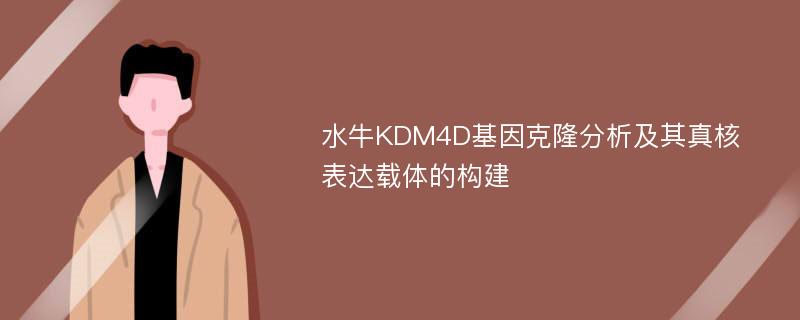 水牛KDM4D基因克隆分析及其真核表达载体的构建