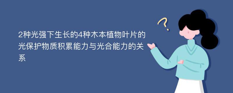 2种光强下生长的4种木本植物叶片的光保护物质积累能力与光合能力的关系