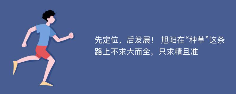 先定位，后发展！ 旭阳在“种草”这条路上不求大而全，只求精且准