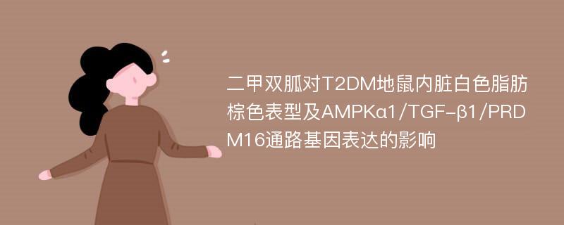 二甲双胍对T2DM地鼠内脏白色脂肪棕色表型及AMPKα1/TGF-β1/PRDM16通路基因表达的影响