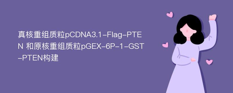 真核重组质粒pCDNA3.1-Flag-PTEN 和原核重组质粒pGEX-6P-1-GST-PTEN构建