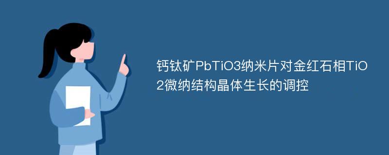 钙钛矿PbTiO3纳米片对金红石相TiO2微纳结构晶体生长的调控