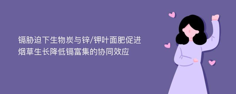 镉胁迫下生物炭与锌/钾叶面肥促进烟草生长降低镉富集的协同效应