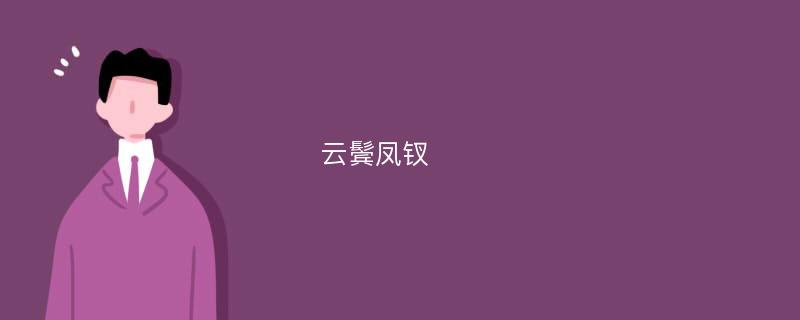 云鬓凤钗