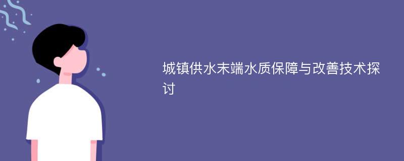 城镇供水末端水质保障与改善技术探讨