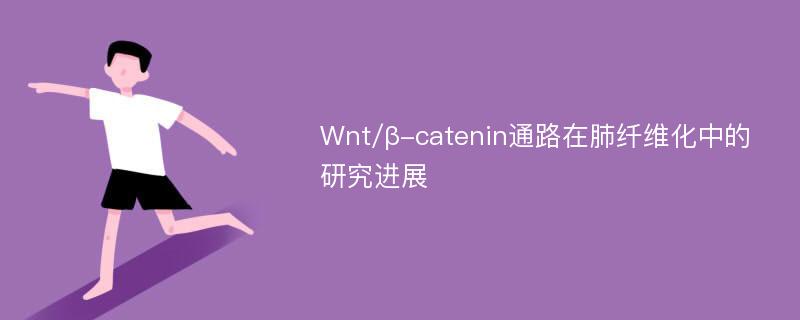 Wnt/β-catenin通路在肺纤维化中的研究进展