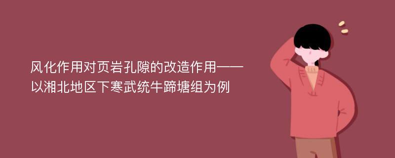 风化作用对页岩孔隙的改造作用——以湘北地区下寒武统牛蹄塘组为例