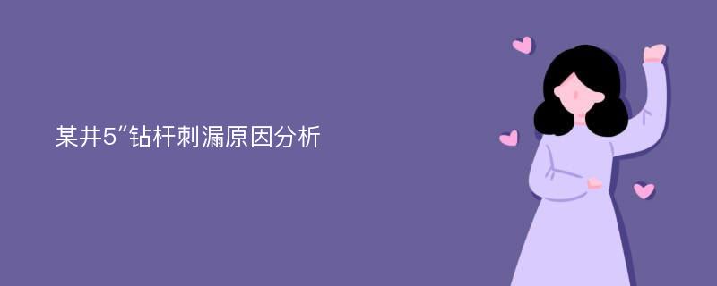 某井5″钻杆刺漏原因分析