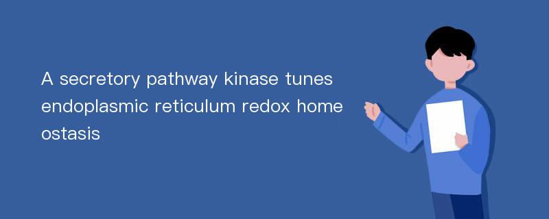 A secretory pathway kinase tunes endoplasmic reticulum redox homeostasis